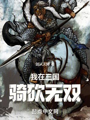 骑马砍杀三国无双