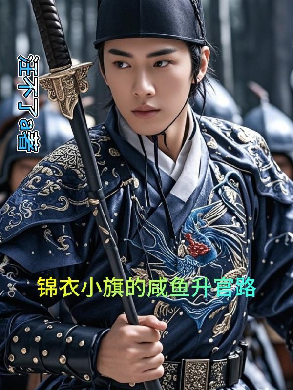 锦杀大明