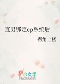 直男绑定cp系统后晋江