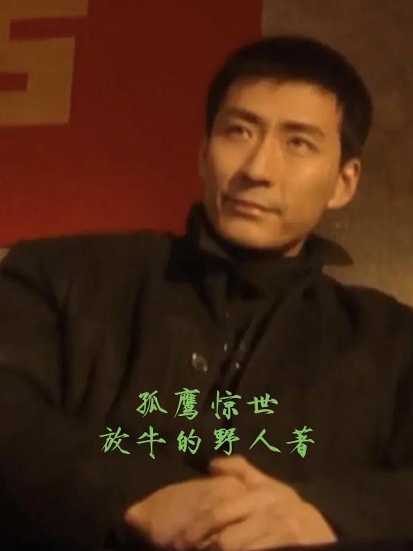 孤鹰好看吗