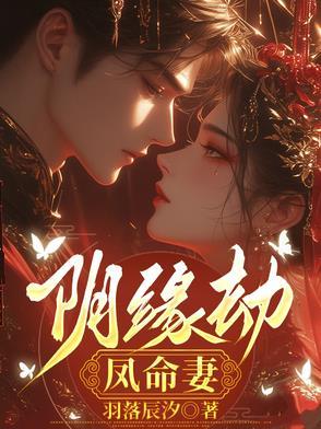 阴缘劫凤命妻沈白身份