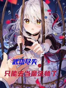 武功本没有错