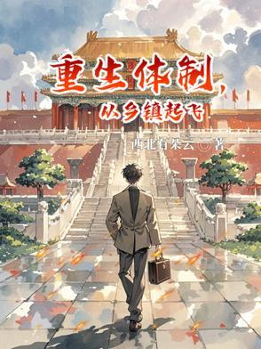 重生从乡镇当大官的