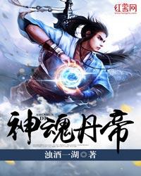 神魂丹帝人物关系