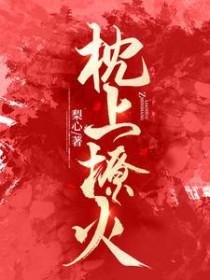 枕上撩火免费阅读