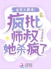 疯师傅安装