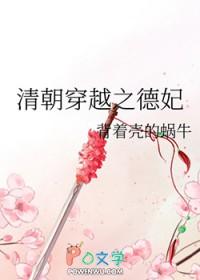 清朝穿越之德妃txt